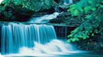Mikvah